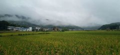 “梅雨季”看輕鋼別墅如何抵御南方的霉雨天?會生銹?不可能!